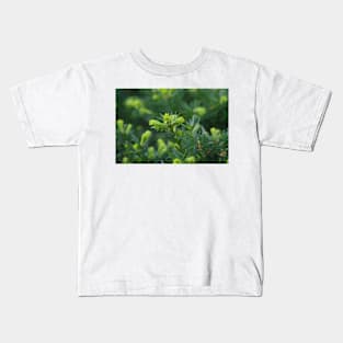 Springing Green Evergreen Kids T-Shirt